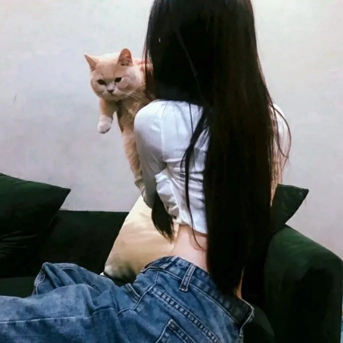 新龙门客栈之英雄觉醒